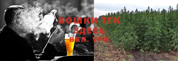 тгк Армянск