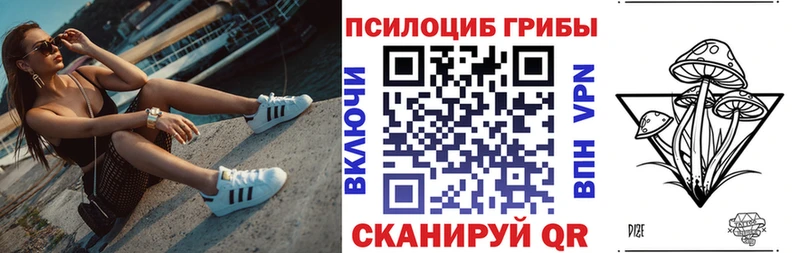 Псилоцибиновые грибы MAGIC MUSHROOMS  ОМГ ОМГ ССЫЛКА  Черкесск 